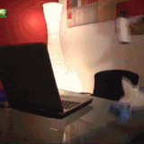 po1f8uuxg4v01.gif
