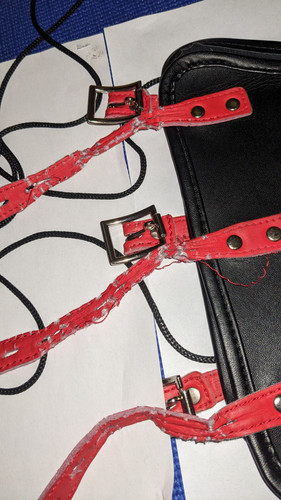 PXL 20230322 194854003