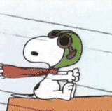 dogfight.gif