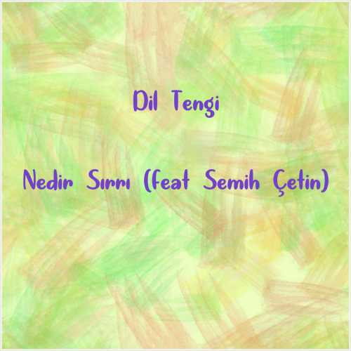 دانلود آهنگ جدید Dil Tengi به نام Nedir Sırrı (feat Semih Çetin)