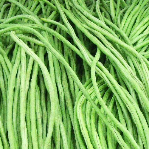 Organic yard long bean (1).jpg