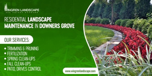 Residential Landscaping Services in Downers Grove.jpg