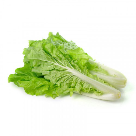 Organic Chinese cabbage (1).png