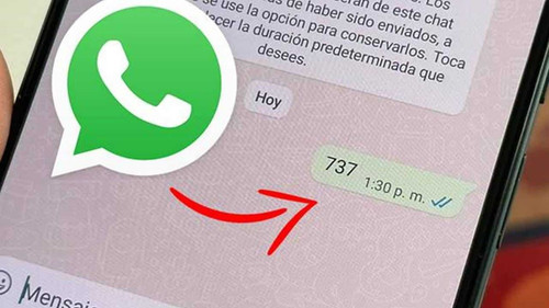 whatsapp 737 23032023205101325.jpg