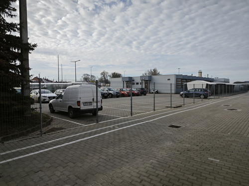 IMG 20230324 073802.jpg