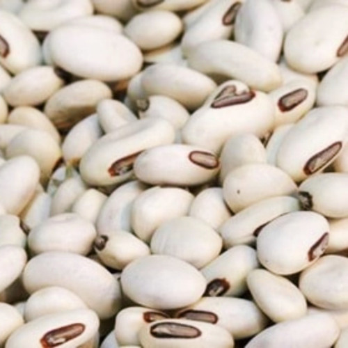 White Bean.jpg