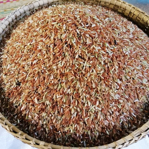 Organic Red Jasmine Rice (1).jpg