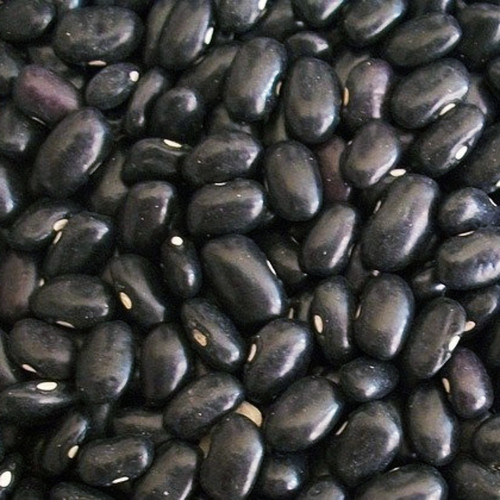 Black Bean (2).jpg