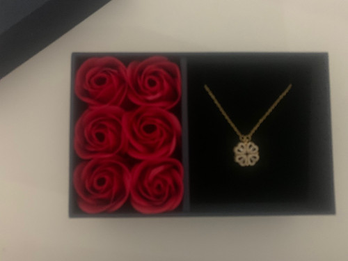 br 11134103 23010 9gq8ia2gdhmv63.jpg