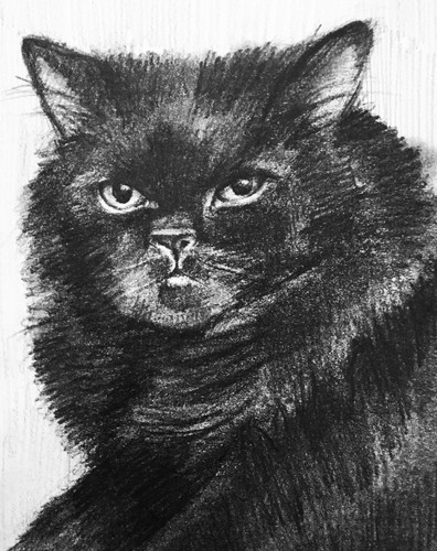 Screenshot 2023 03 31 154712.jpg