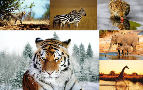 ' Glorified is The Mighty Creator '.jpg