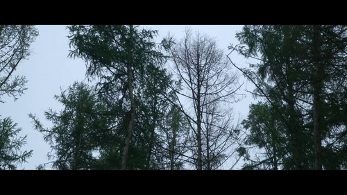kihcxrvmpnw0.png