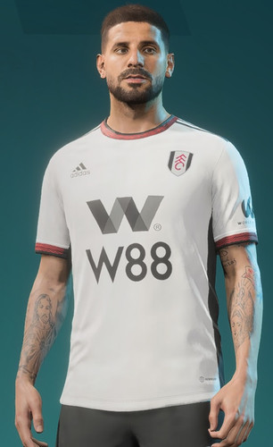Mitrovic new.1