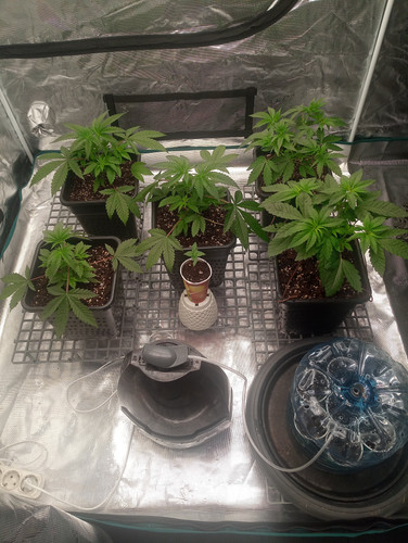 IMG 20230331 184859 474.jpg