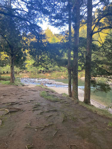 90D3121B 9B74 41C4 B38F E00E1DC6577E.jpg