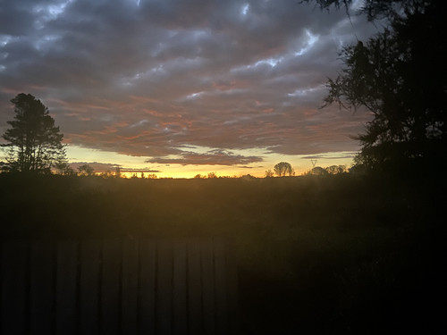 B5285C75 F581 46C2 A1B6 6552EA3F6428.jpg