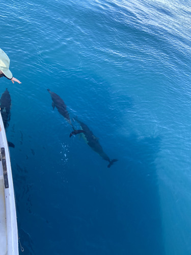 372EC573 9CD5 4E93 9239 17602D60CD94.jpg