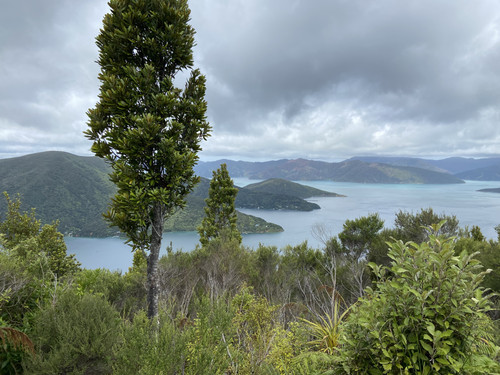 C0B451FD 4E43 4183 81A7 F470F98AFF88.jpg