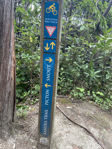 5541A53F 8215 4597 9853 7FFB950E2A8E.jpg