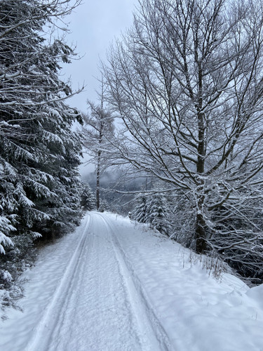 0233F650 D6B1 4EAB AFAE 93CE8A20D419.jpg