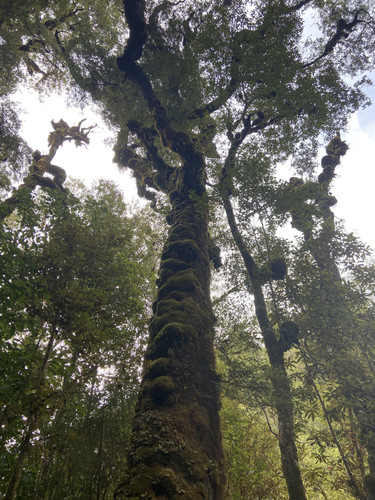 0CFF1603 5256 4ACE A543 B34C532C4F80.jpg