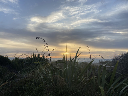 9524CA8F 4F84 4153 A395 75424F18999E.jpg