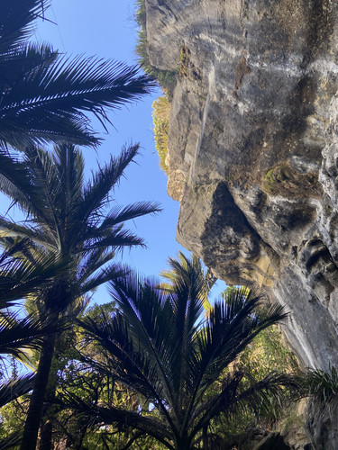 08EDF4EA F550 416C 9717 154DA68EB556.jpg