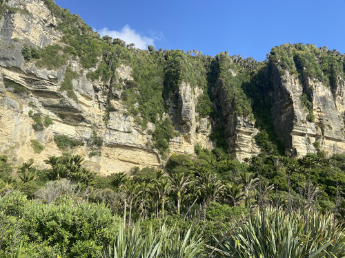 E08D2C40 1221 4DFE BF43 506750870C91.jpg