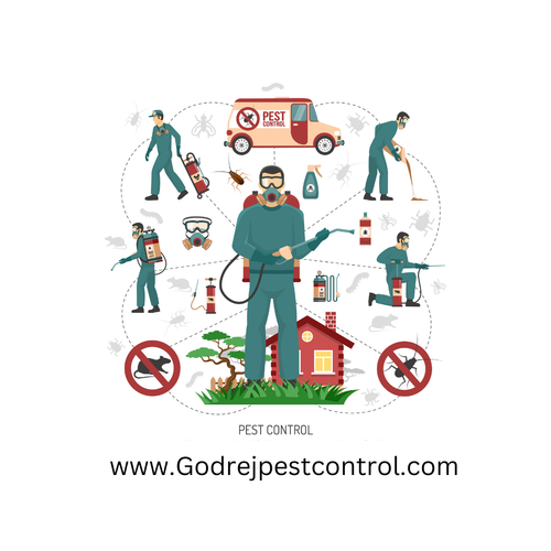 best pest control services in Gurgaon.png