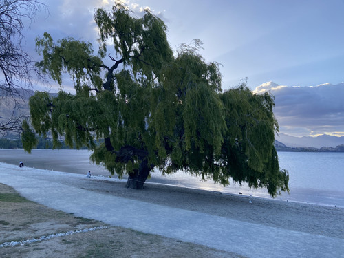 C9B83E6A FF82 43EA BB91 D98AE26327E0.jpg