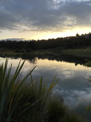 91F9C478 D6EB 4567 821B C6D0F3A90EB6.jpg