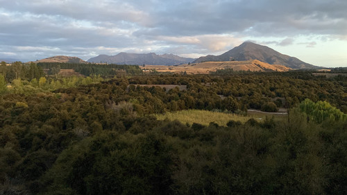 912B1BAD B86E 432C A73B ED5D5009A330.jpg