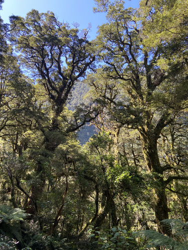 A99BF552 6AB7 43C2 93B1 1B7E5E9797A3.jpg