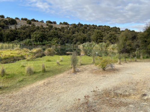 95A3AB4E CA58 4E89 A0B3 A3A99913683E.jpg