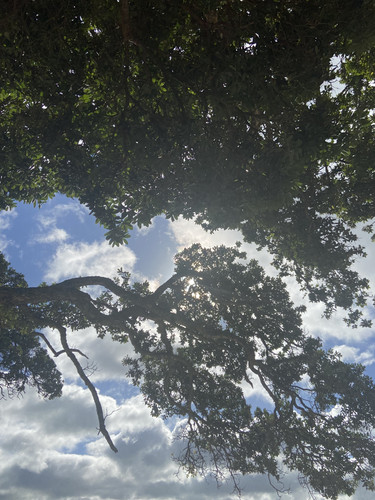 2A4AE260 7810 4863 BE4C 872339963135.jpg