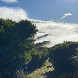 9BDB3ADE DDAF 44D9 A49C EDE187B02E06