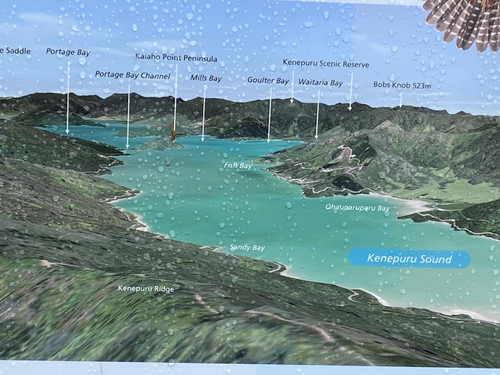 8772E1B1 F9BA 4AE9 BBAD C52558C9E30E.jpg