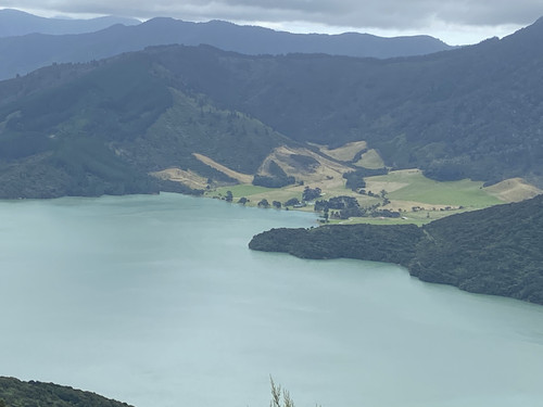 6456EEEF 0F3F 427C 9029 5DDE7A74A1D0.jpg