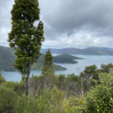 AE75D249 F5DE 4491 B35C 9F2CEE7B7C2D