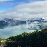 514CC34C 1F54 4E21 8D5F 95E35D127AB4