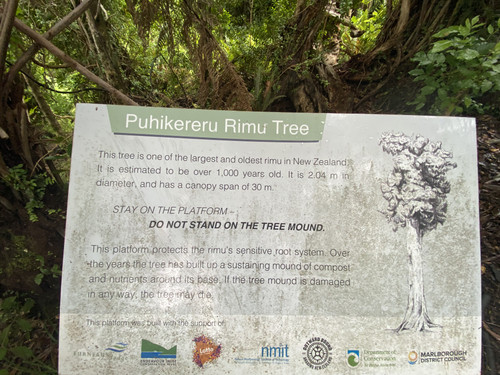 FE2A5B91 CA3D 4175 84DC 4FC12DC107DE.jpg