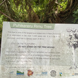 FE2A5B91 CA3D 4175 84DC 4FC12DC107DE