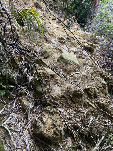 03DD3884 ADC1 4F8A AC4F BF6EBB89B509.jpg