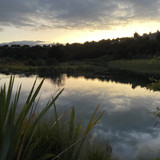 C4289E92 A0D5 4B9C B329 BBE7E192302C