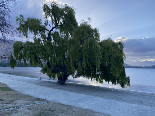 E8138159 C47A 4D50 94BD ACCFA6A77293.jpg