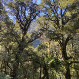 8E061A1E AEDA 4764 BB58 69670F0F9B6C