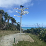 34F63D5B A609 4A86 88E9 BE1B4F3FA65F