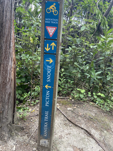 11F09E49 C6BD 412C B5FB ACECB8E49505.jpg