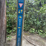 11F09E49 C6BD 412C B5FB ACECB8E49505