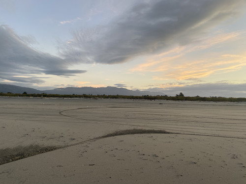 0BB812FE AE07 4A4C A544 E8EFDA1C3D5B.jpg